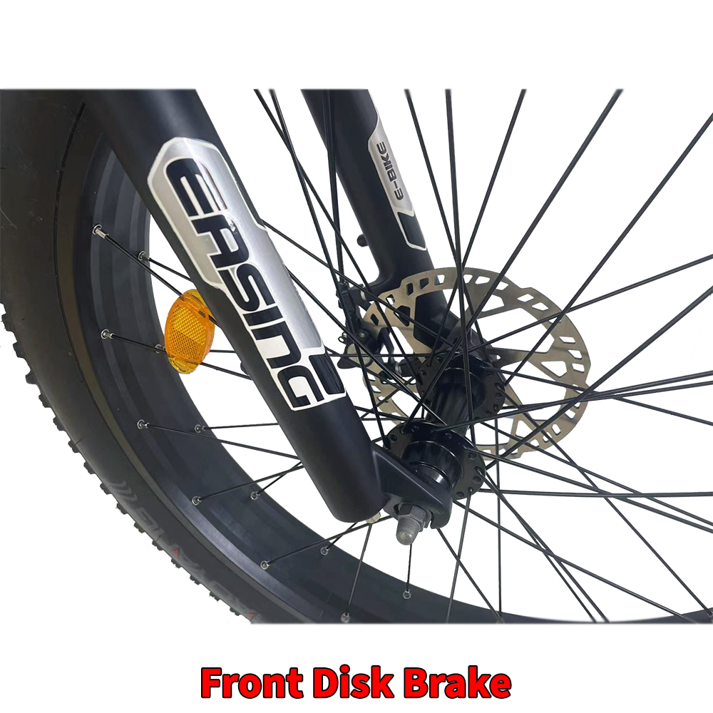 Front disk brake