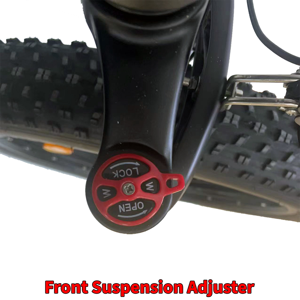 Front shocks