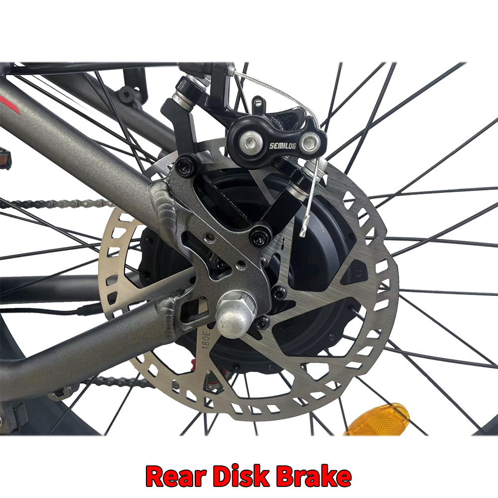 Rear disk brake