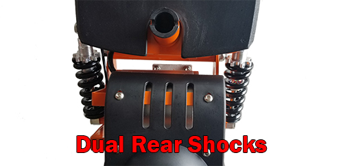 Dual rear shocks