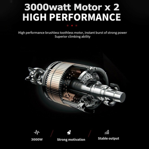 2 3000watt brushless motors